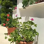 Hotel Rota 3*