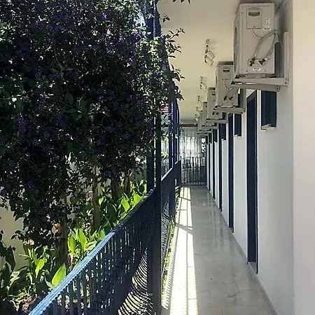 Rota מלון 3*