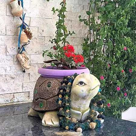 Rota فندق داليان